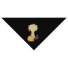 SOL'S Bandana Thumbnail
